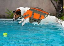 Top Paw Dog Life Vest Safety Jacket Floatation Device Orange Small or Medium