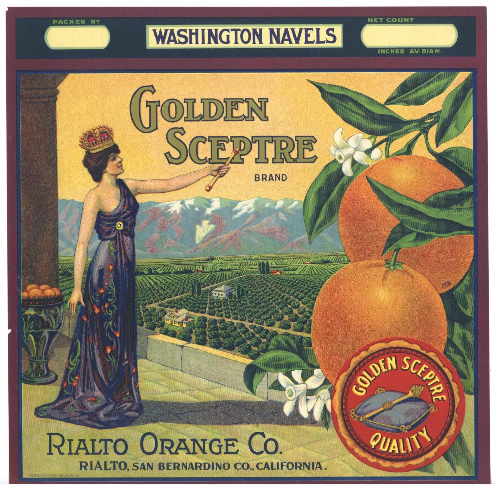GOLDEN SCEPTRE Brand, Rialto **AN ORIGINAL 1920s ORANGE CRATE LABEL