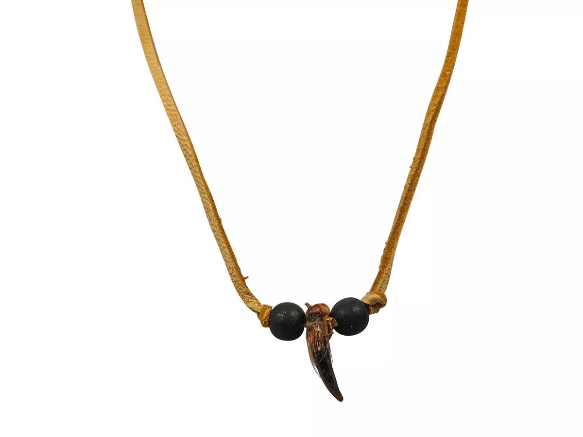 Real Iroquois Coyote Claw Necklace 1 claw 368 601 C1 eBay