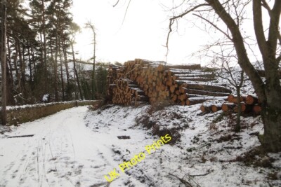 Foto 6x4 Blockhaufen, Fala Dam Fala\/NT4361 Es wurde viel gefällt c2015
