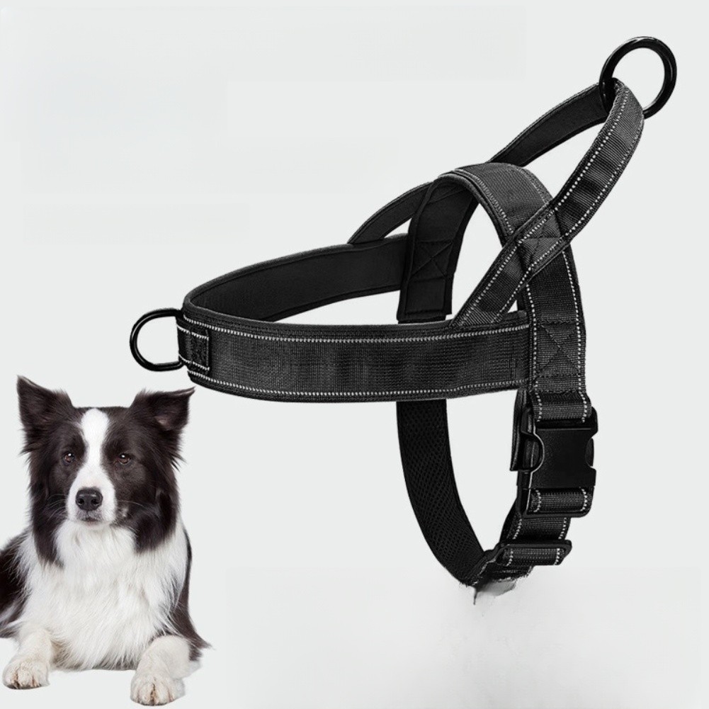 Pettorina Leggera per Cani con Manico Grande foto 4