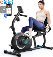 Cyclette Da Seduta Magnetica, Recumbent Bike Con 8 Livelli Di Resistenza Regolab