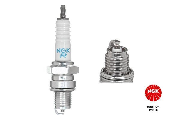 Spark Plug NGK 4823