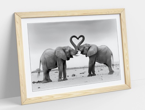 ELEPHANTS MAKING HEART SHAPE WITH TRUNKS 2 -FRAMED WALL ART POSTER PAPER PRINT - Picture 3 of 11