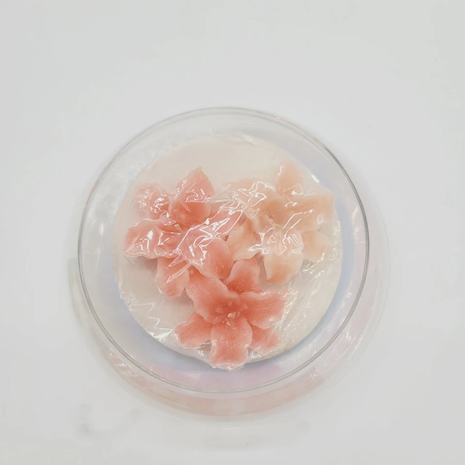 Velas de lírio tigela flutuante de vidro de 7 pol. de largura - Imagem 4 de 4