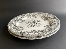 Portugal Zara Home Ceramic Dinner Plate 10 3/4” Floral Set Of 2