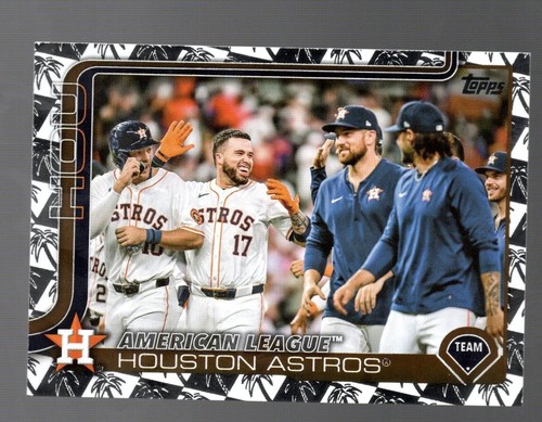 2025 Topps Spring Training Foil Houston Astros #76 | eBay