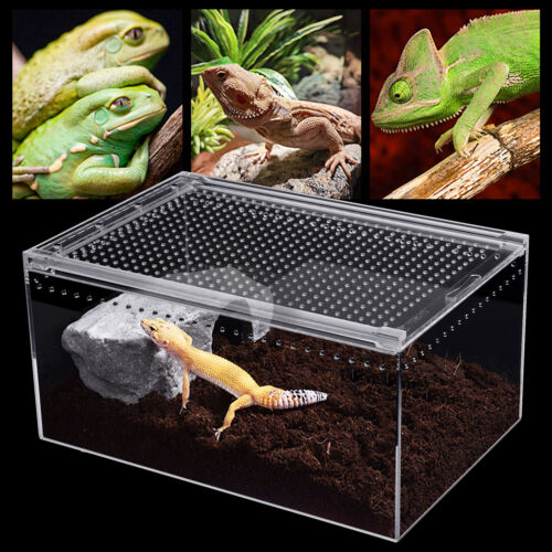 Large Tank Cage Reptile Pet Enclosure Lizard Spider Snake Tortoise Breeding Box