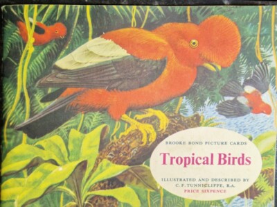 Tropical Birds - Tea Card Full Album  -  Good Condition - #2