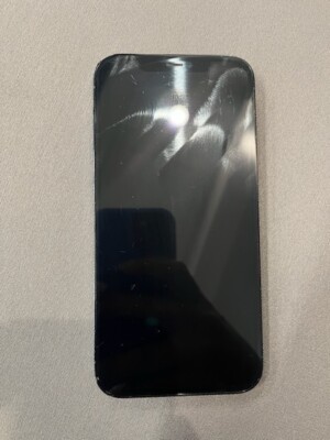 Apple iPhone 12 Pro Max - 128 GB - Blue (Unlocked)  TikTok installed 