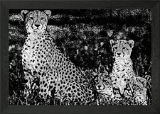 The Pack Framed Wall Art Poster Canvas Print Picture