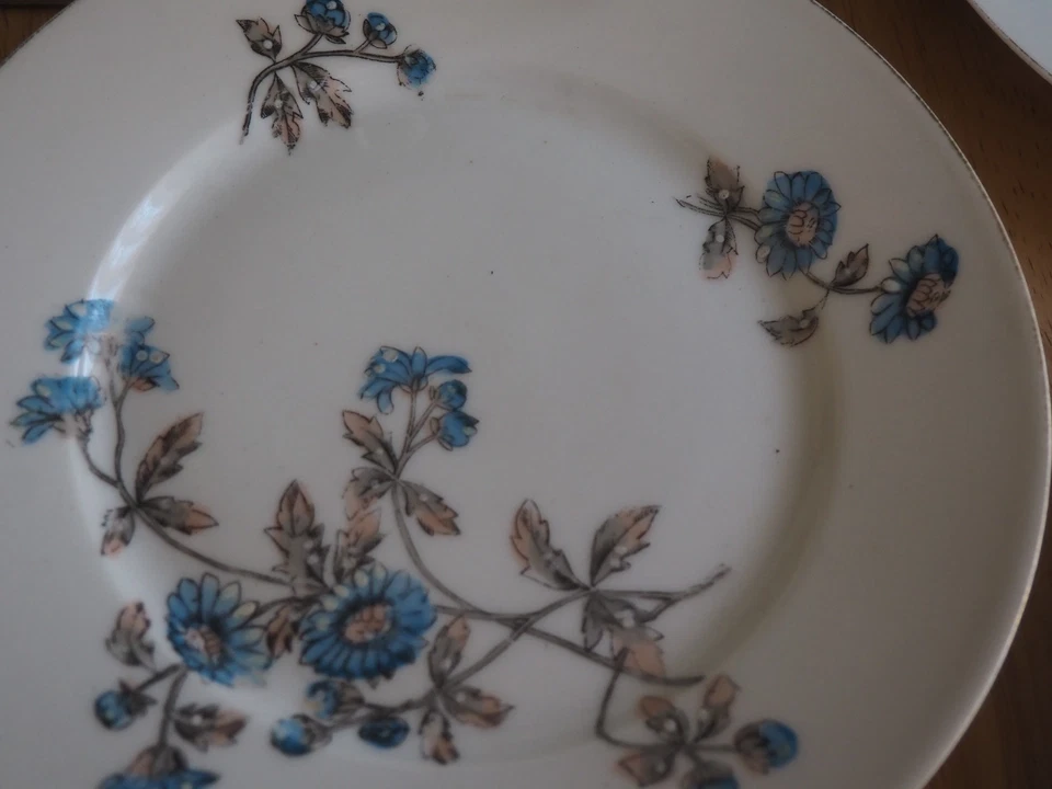 6 ANCIENNES ASSIETTES A DESSERT PORCELAINE DLG LIMOGES. DECOR FLORAL .DIAM 21 CM - Photo 2/4