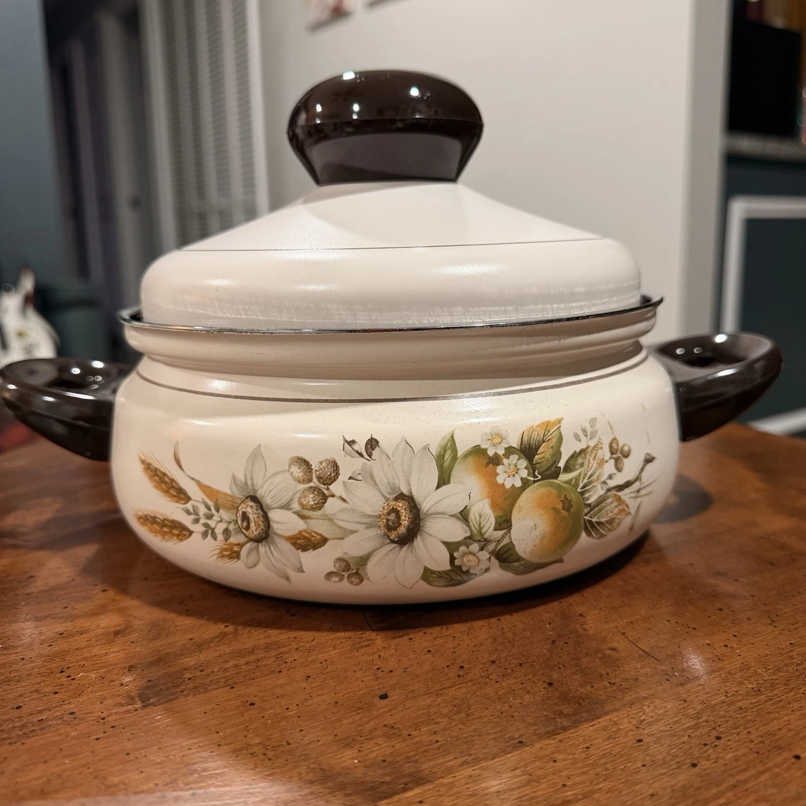 Silit Enamel Floral Dutch Oven with Lid, Double Handle, Oven-Proof, Cream Brown
