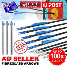 10 x 31" Fiberglass Arrows Archery Hunting Target Compound Bow Fiber Glass Bows