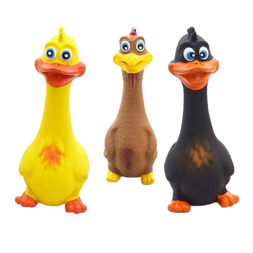 Squeaky rubber top chicken dog toy