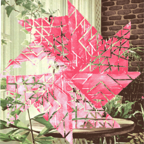 Melting Season Harmonic Pet Deluxe (CD) Album