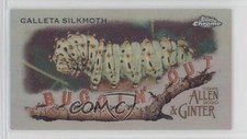 2020 Topps Allen & Ginter Chrome Mini Buggin' Out! Calleta Silkmoth #MBOC-8 y0q