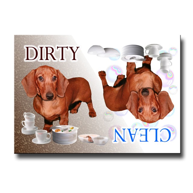Dachshund Clean Dirty Dishwasher No 5 Puppy for sale online eBay