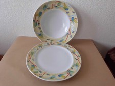 2 er Set Rosenthal Epoque Teller Pastateller Servierteller Serviceteile Top  