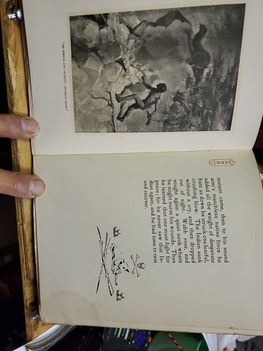 Die Biographie eines Grizzlys und 75 Zeichnungen - Bild 8 von 8