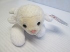 Foto 2 di 10
