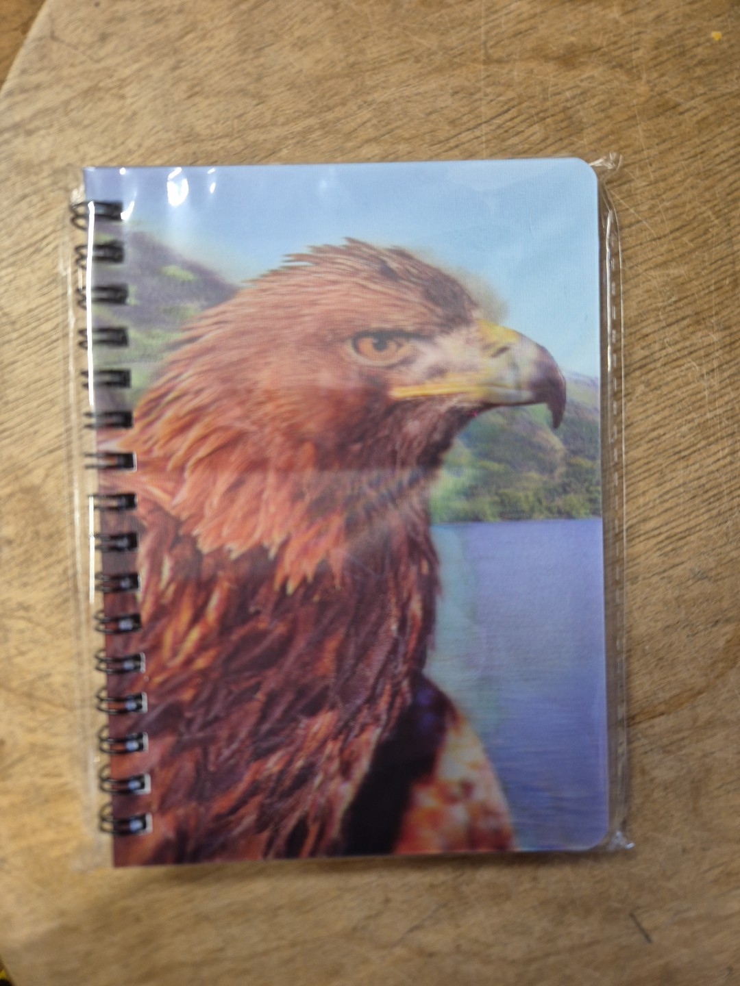 Golden Eagle notebook Golden Eagles Notebooks A6 lined Notepad Bird Of Prey Bird
