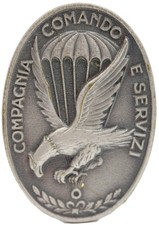 Distintivo Alpini Compagnia Comando e Servizi CCS paracadutisti uniforme badge