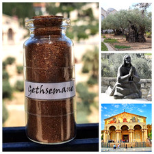   Gethsemane Garden   Sand   Bottled Soil   Jesus   Jerusalem   Holy Land  