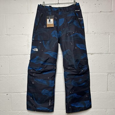 The North Face Freedom Ski Snowboard Insulated Waterproof Snow Pants Binary  Blue