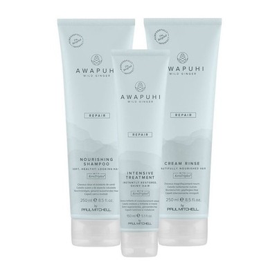 Paul Mitchell Awapuhi Wild Ginger Repair Shampoo Conditioner Treatment KeraTrip 