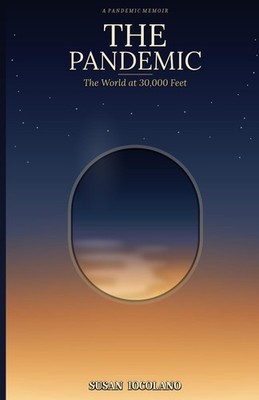 The Pandemic: The World at 30,000 Feet