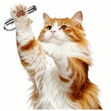 Jouets interactifs pour chats et animaux domestiques, bâton pointeur pour cha...