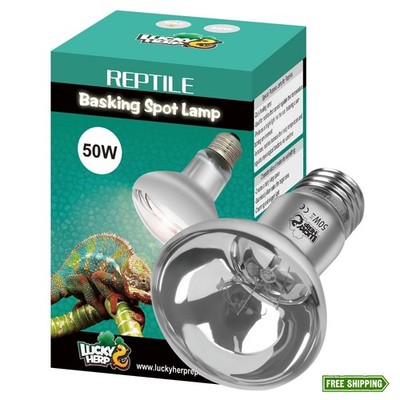 LUCKY HERP 50W Clear UVA Reptile Heat Lamp Bulb