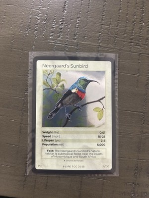 LIFE TCG Neergaard's Sunbird 31/130 Bird Card 1st H 2025 English Standard