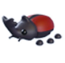Rhino Beetle, a Pet From Japan Egg 2022