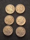 6 Beautiful Rare VF ++ 1938  D Rugged Buffalo Nickels W Incredible Details!