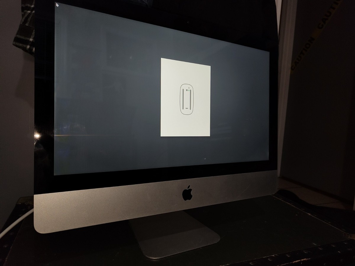 Apple iMac 21.5 inch Desktop - (Jan, 2010) READ DESCRIPTION