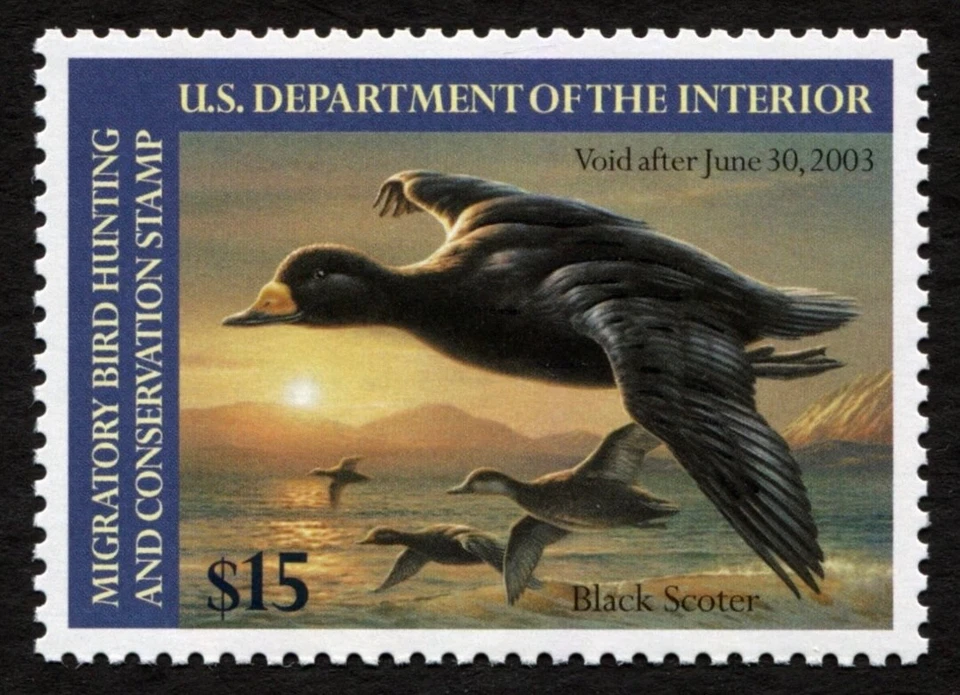 RW69 VF-XF MNH 2002 Black Scoters US Federal Duck Stamp Migratory Waterfowl - Image 2 of 3