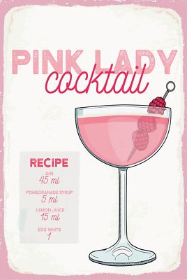 Blechschild 18x12 Pink Lady Cocktail Recipe Wand Deko Bar Kneipe Sammler Geschen