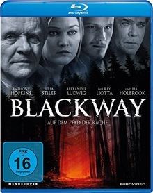 Blackway - Auf dem Pfad der Rache [Blu-ray] von Alfr... | DVD | Zustand sehr gut