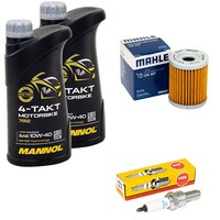 ÖL 2L Inspektion FüR Suzuki AN 400 Burgman AN400 1999-06 Set ÖLfilter ZüNdkerze