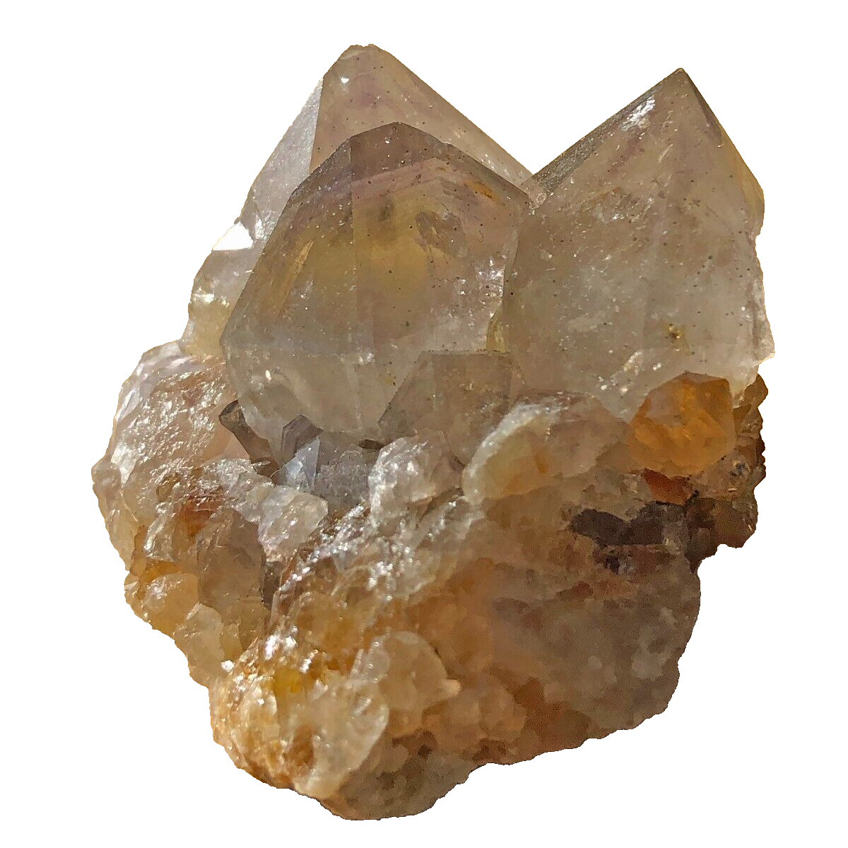 White and Citrine SPIRIT QUARTZ Cactus Crystal CC4490