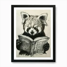 Red Panda Reading Ink Illustration  Framed Wall Art Poster Canvas Print Picture