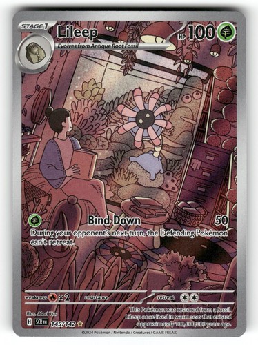 Lileep NM 145/142 Holo Stellar Crown Pokemon Illustration Rare