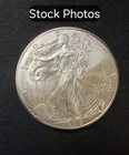 1 american silver eagle 1 oz coins