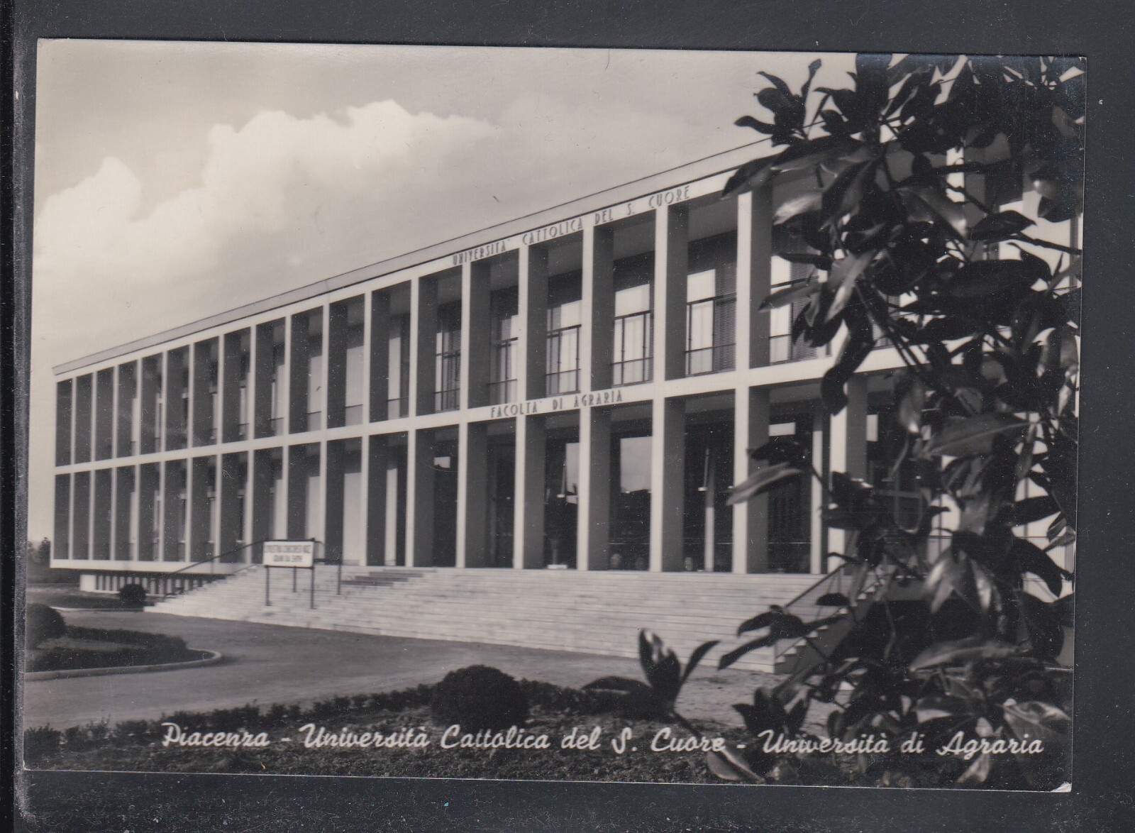Cartolina Piacenza Università Cattolica del S. Cuore Agraria HA393