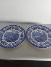 Pair of Spode Blue Room Dinner Plate 10 1/2” The Zebra Pen