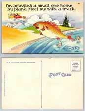 Oversized Airplane Fish Cartoon Humor Postcard