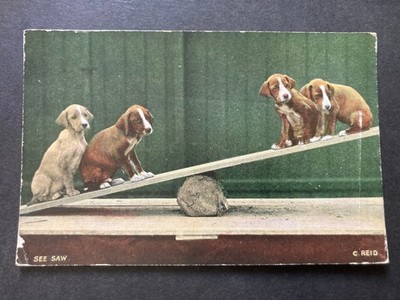 Süße Hunde spielen Wippe Vintage Postkarte G41