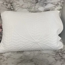 Gel Memory Foam Pillow, 25” X 19”